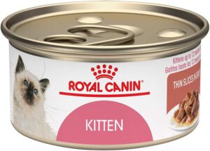 Royal-Canin-Feline-Health-Nutrition-Wet-Kitten-Food