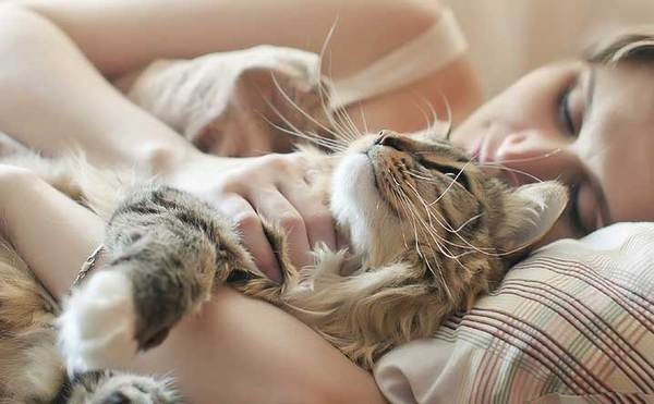 cat-sleep-on-woman