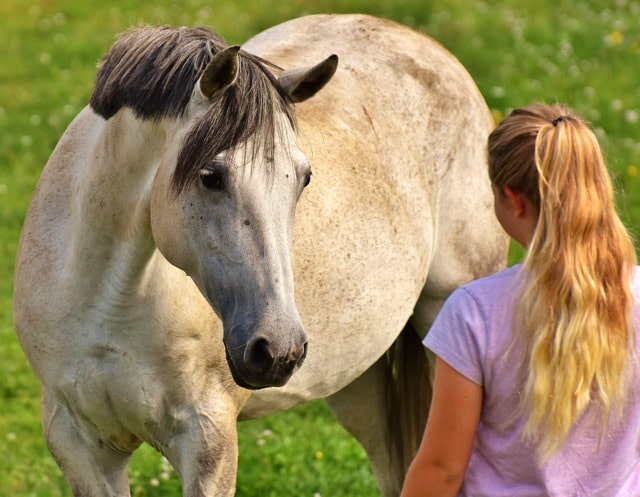 horse-with-a-female-companion