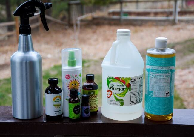homemade-insect-killer-get-rid-of-horse-flies